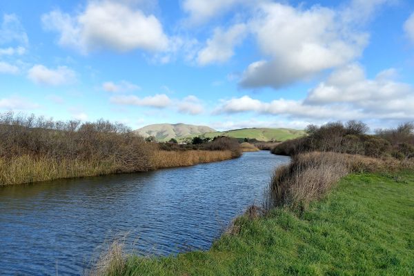 White House Pool Park