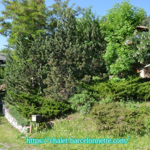 This is the entrance of the property.