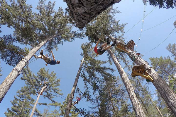 Jungle Park & Zipline