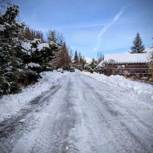 Winter landscape