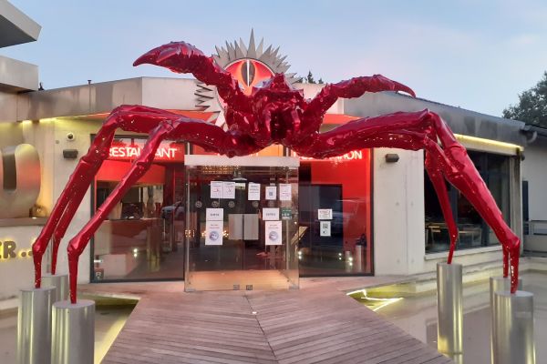 Toinou, les Fruits de Mer !