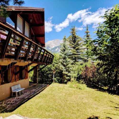 Front garden, summer view