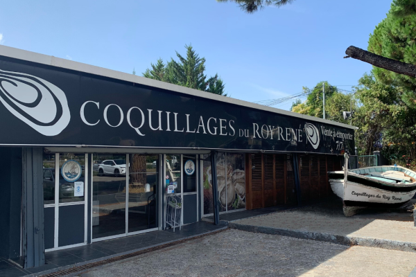 Coquillages du Roy René