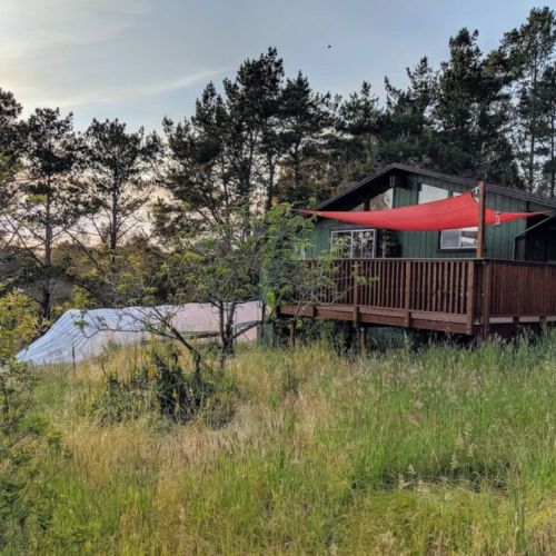Outdoor garden and deck