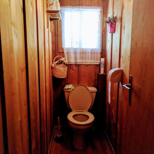 Toilet - main floor