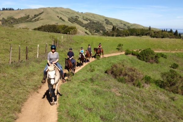 Point Reyes Arabian Adventures