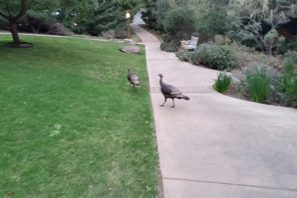 Marconi Station World Heritage Site