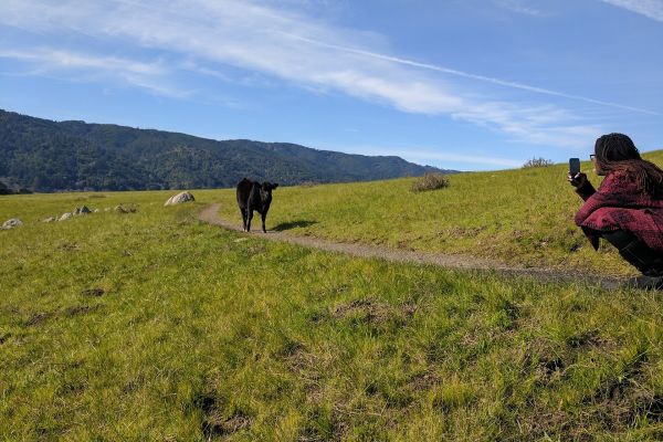 Tomales Bay Trailhead