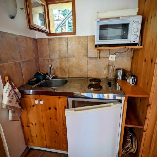 Kitchenette with fridge, microwave, electric stove
