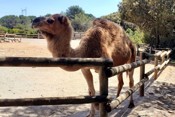 Zoo Barben